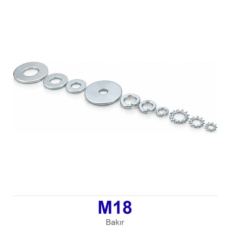 Bakır Pul M18
