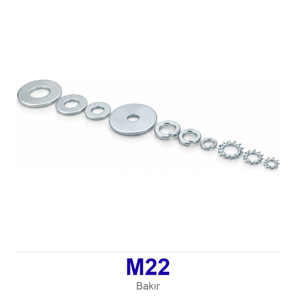 Bakır Pul M22
