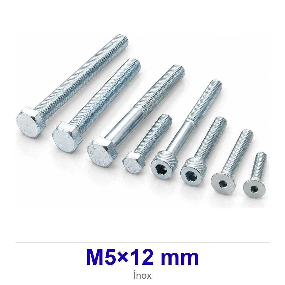 Bombe Başlı İmbus İnox Civata M5×12 mm ARNX