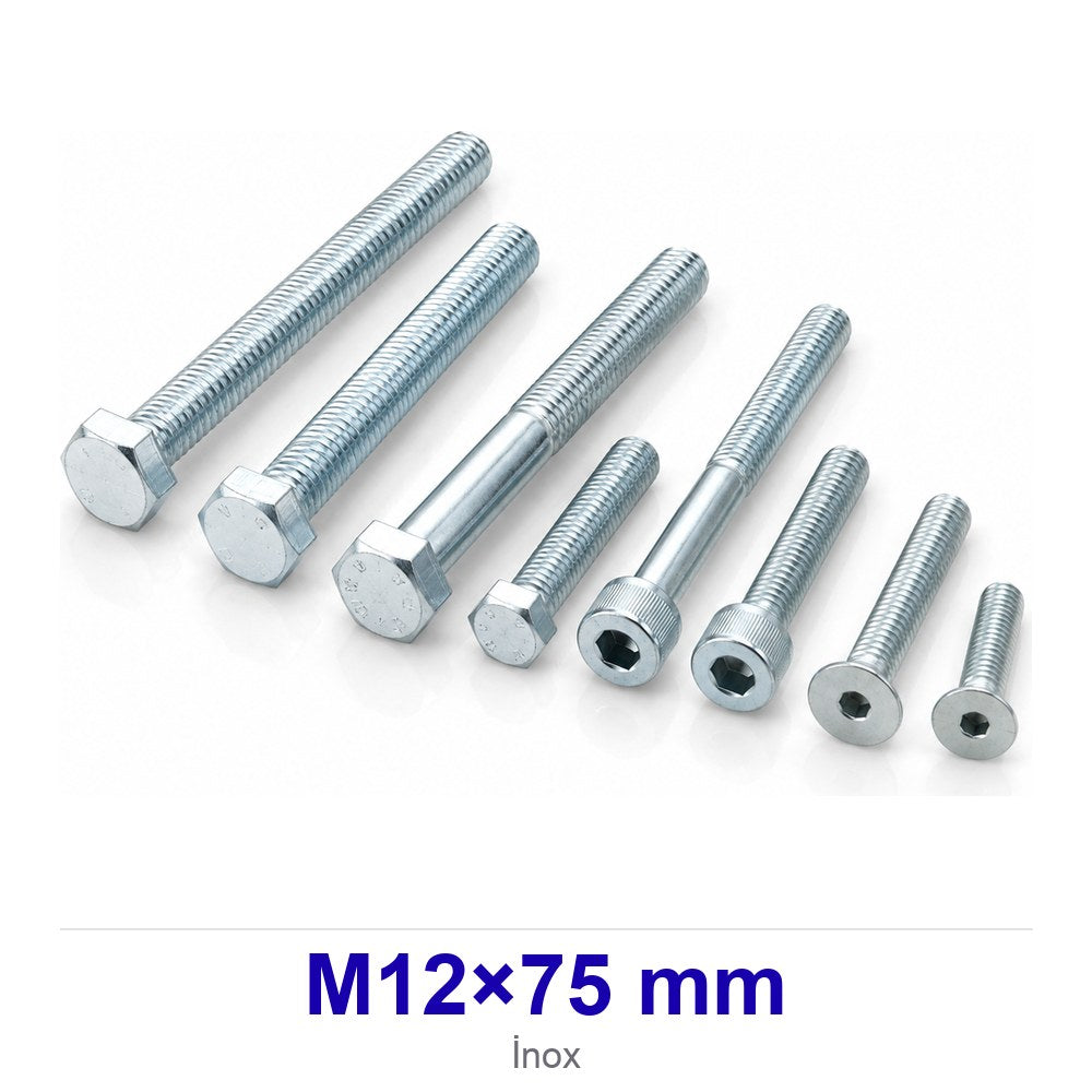 İnox Altı Köşe Başlı Civata M12×75 mm