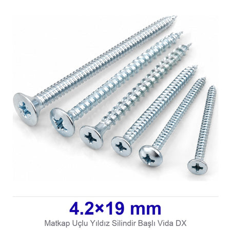 Matkap Uçlu Yıldız Silindir Başlı Vida 4.2×19 mm DX