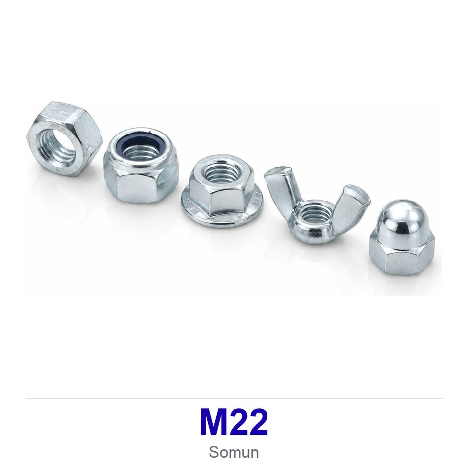 Somun M22