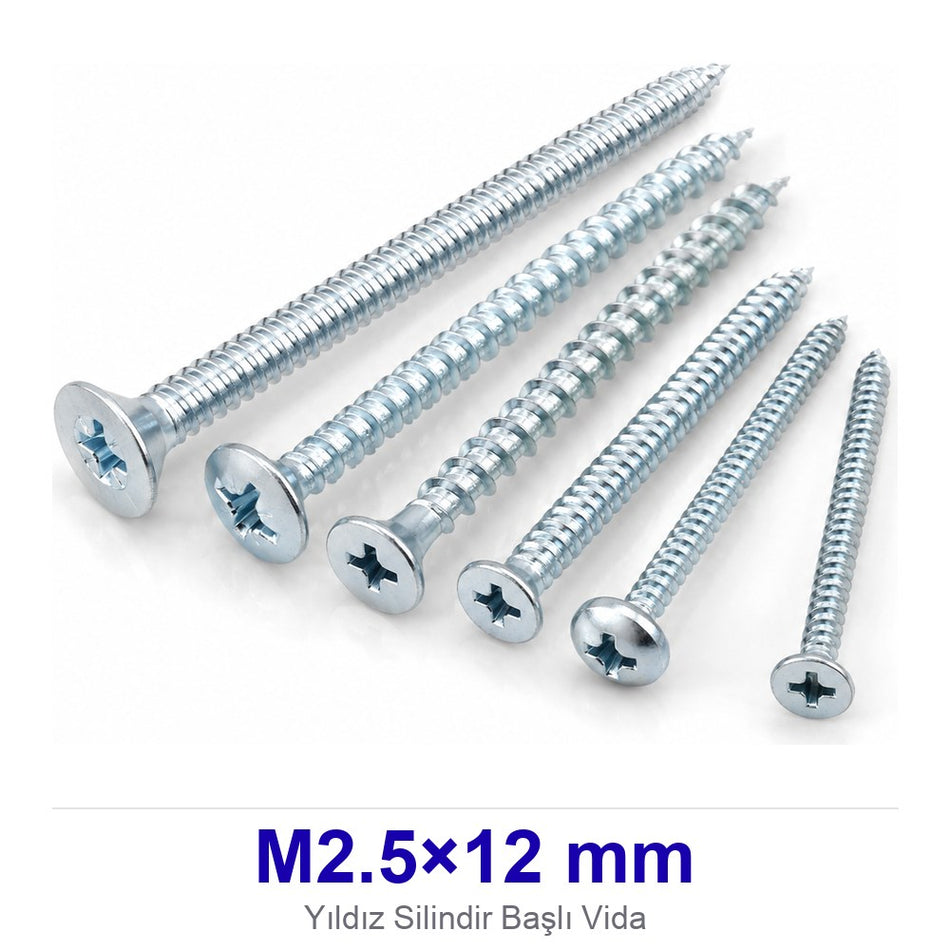 Yıldız Silindir Başlı Vida M2.5×12 mm